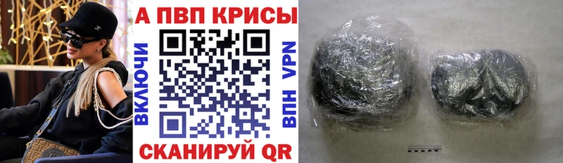 кракен как зайти даркнет сайт Волгоград Альфа ПВП СК