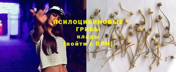 mix Алексин
