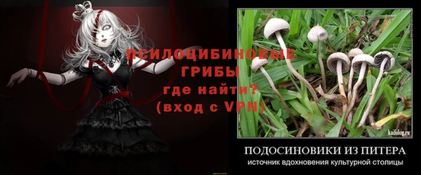соль ск Алзамай