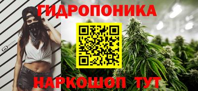 альфа пвп Аргун