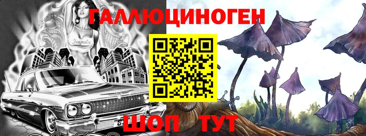 Волгоград  Псилоцибиновые грибы GOLDEN TEACHER  Вход с VPN 