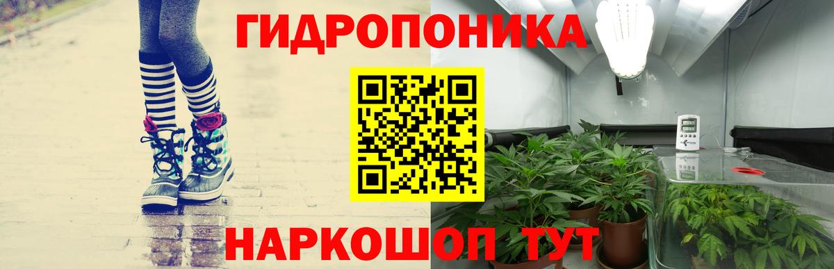 Марихуана индика  Конопля гибрид  Волгоград  Шишки марихуана THC 21%  Вход с VPN 
